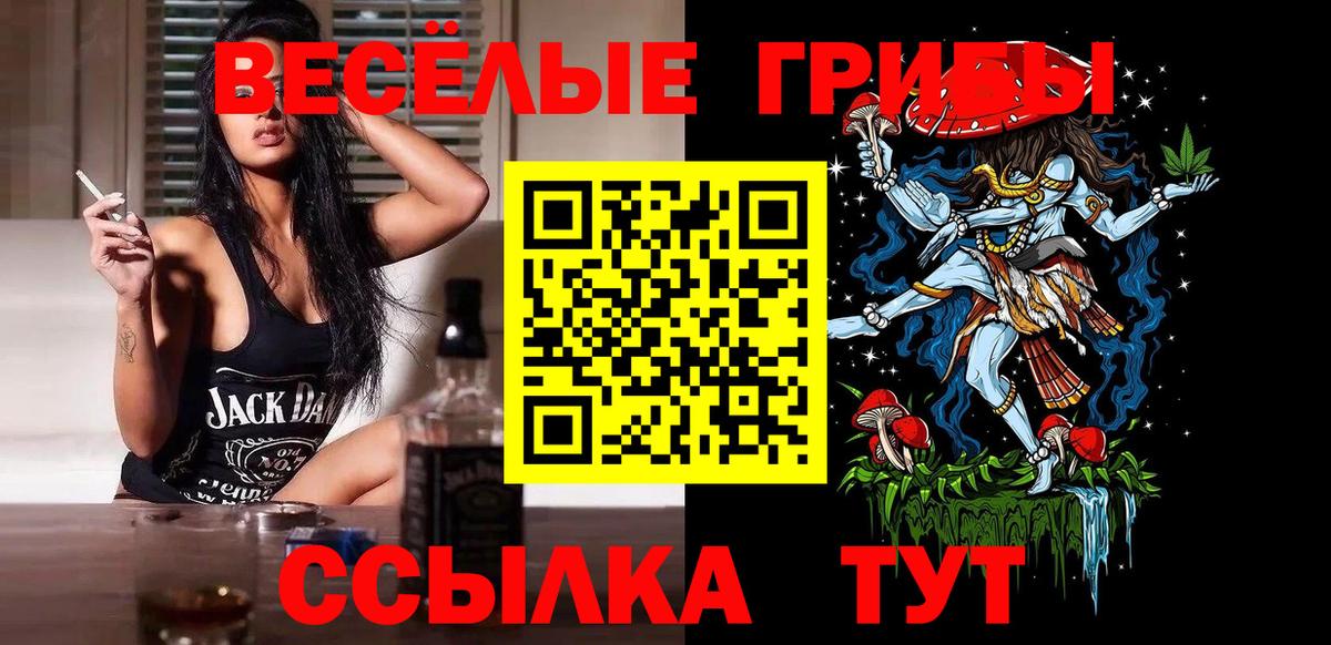 Донецк  Галлюциногенные грибы прущие грибы  Галлюциногенные грибы мухоморы  Вход с VPN 